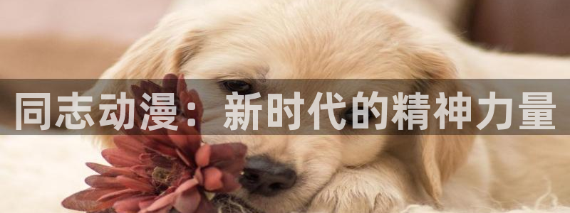 风车动漫网手机版官网：同志动漫：新时代的精神力量