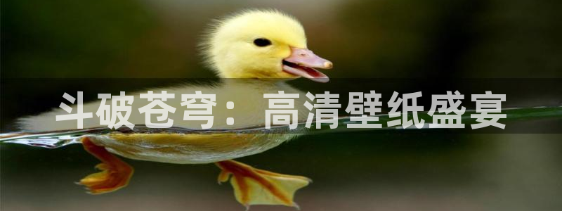 风车动漫在线观看动漫第8集：斗破苍穹：高清壁纸盛宴