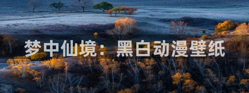 风车动漫视频下载：梦中仙境：黑白动漫壁纸