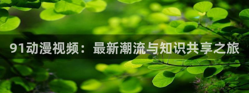 风车动漫推荐：91动漫视频：最新潮流与知识共享之旅