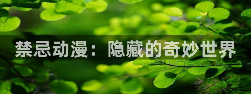 风车动漫高清：禁忌动漫：隐藏的奇妙世界