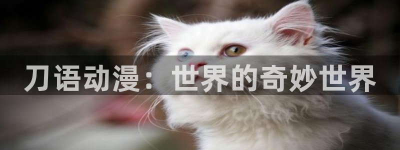 灵笼风车动漫：刀语动漫：世界的奇妙世界